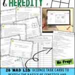 Genetics Heredity Task Cards Mad Lib Distance Learning Task Cards